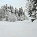 Alpen Studio II